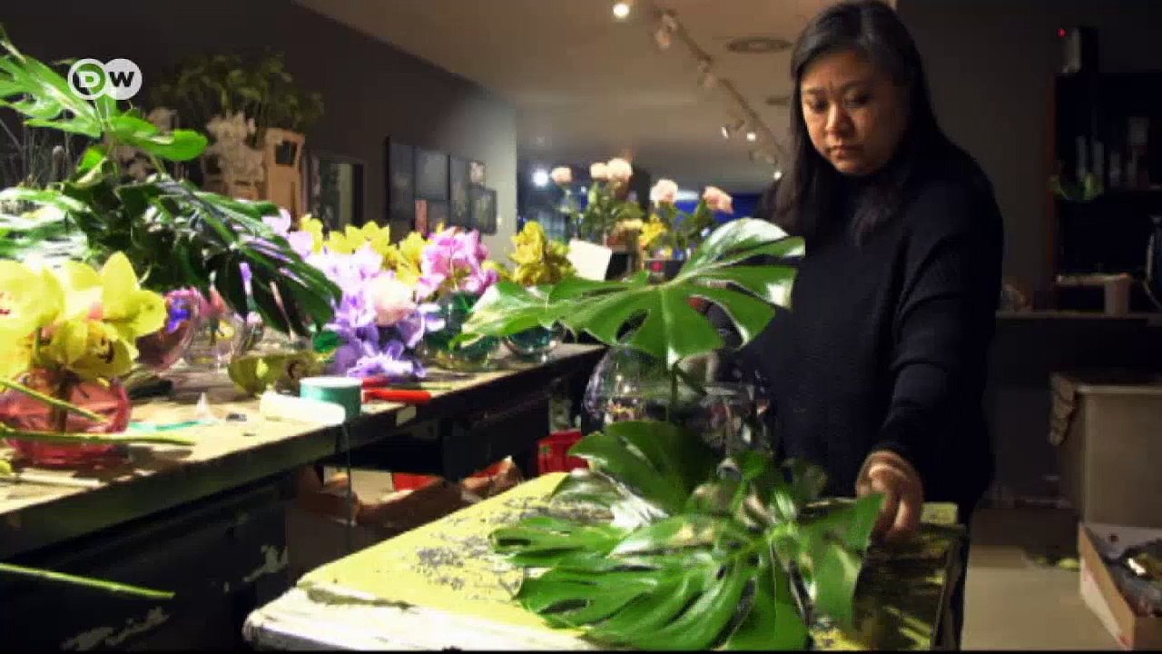 The Swiss cheese plant is back | Euromaxx