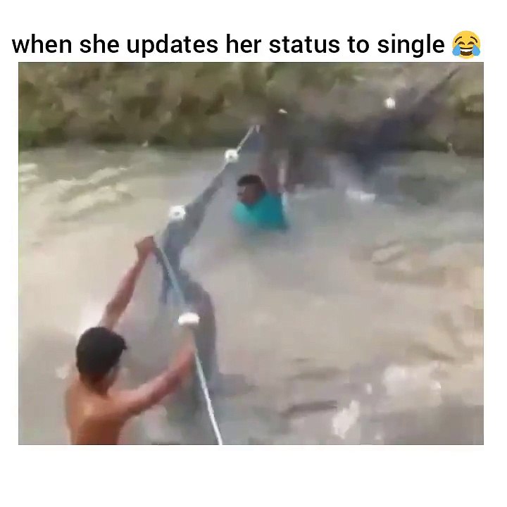 Y'a du poisson là! Peche miraculeuse