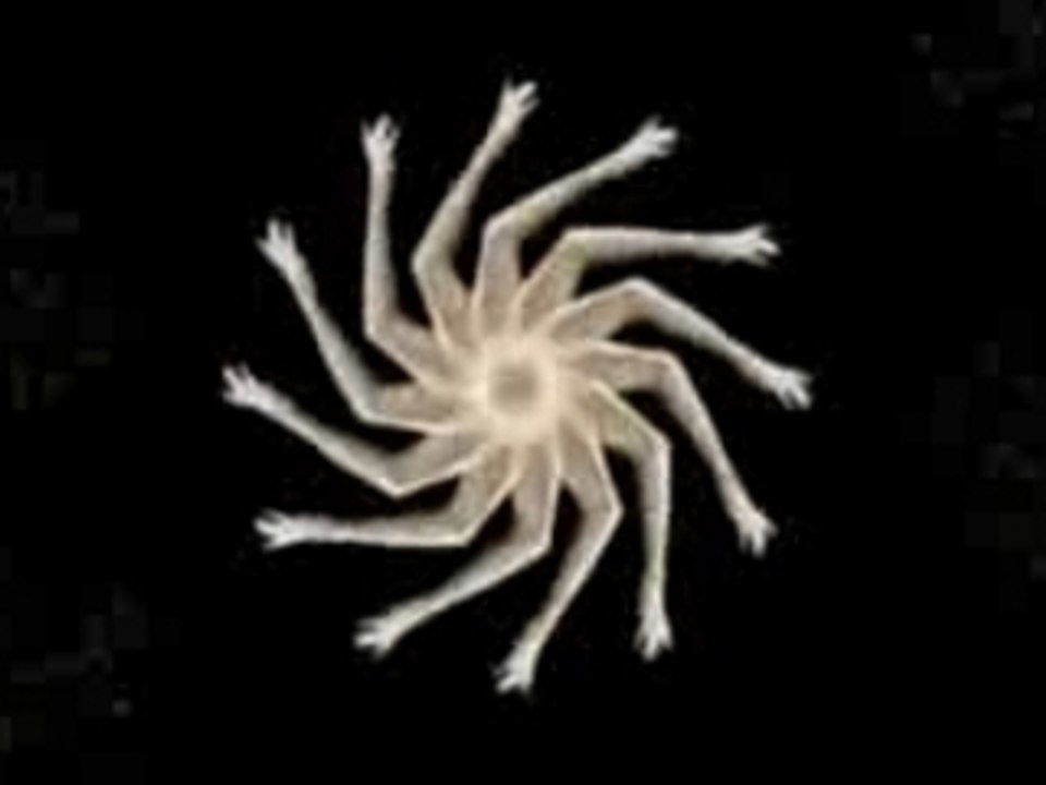 Goldfrapp - Strict Machine