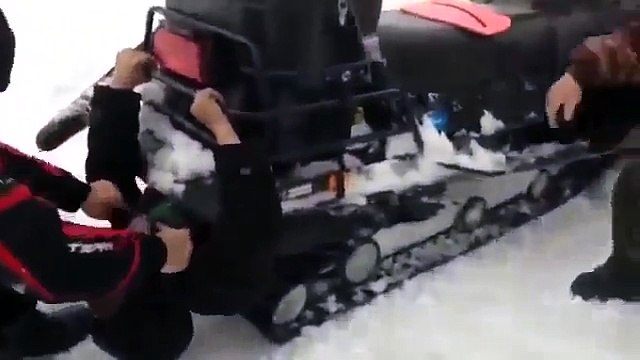 Кандидаты на премию Дарвина 360