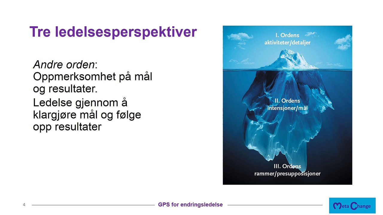 Ledelsesperspektiver i balanse