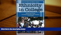 Audiobook  Ethnicity in College: Advancing Theory and Improving Diversity Practices on Campus For