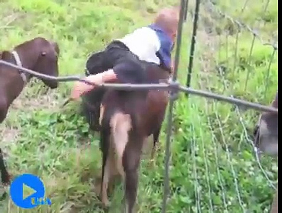 -OMG - Haha, so funny... -