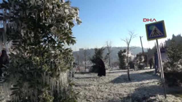 Izmit'te Buz Tutan Ağaçlar Ilgi Odağı Oldu