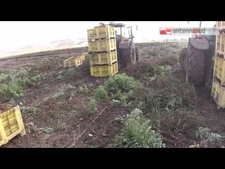 TGSRVgen31 arrestato caporale nel foggiano