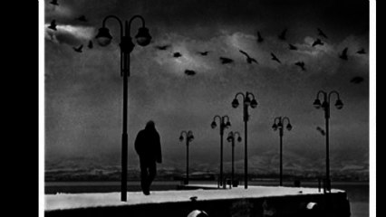 Avuçlarım Kanıyor - Islak Ekin Kokulu Kız - Aforizmalar 28