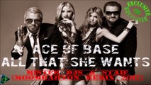 Ace Of Base - All That She Wants (Mister Djs & STAiF Moombahton Remix 2017)