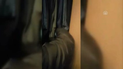 Organize Suç Örgütüne Yönelik Operasyon