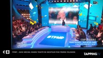 Jean-Michel Maire - TPMP : le chroniqueur traité de menteur par Pierre Palmade (vidéo)