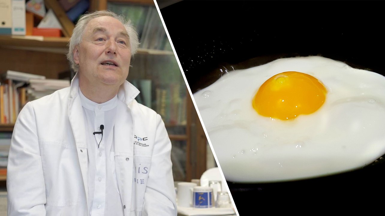 Quelles sont les applications de la gastronomie moléculaire ?