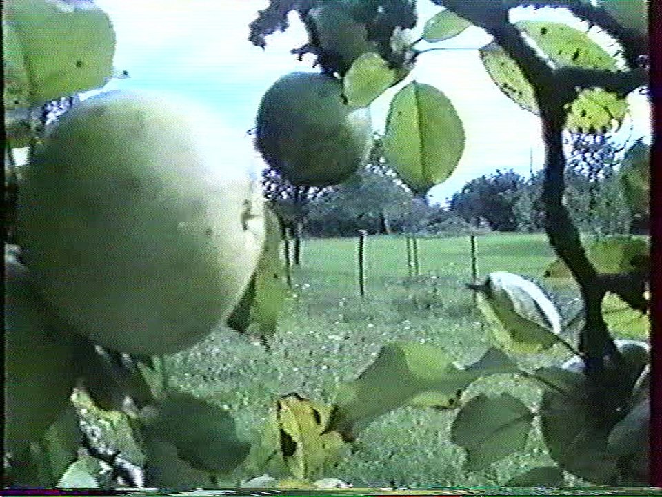 Epenède en 1992