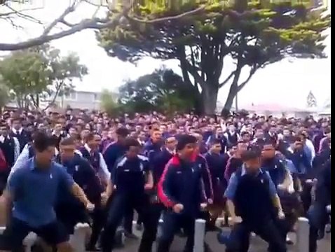 Школьники исполняют ритуальный танец “Хака“