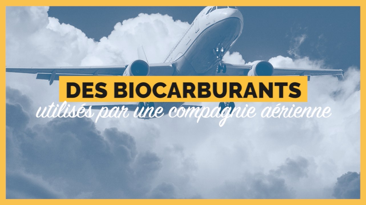 Une compagnie aérienne va utiliser des biocarburants pour faire voler ses avions