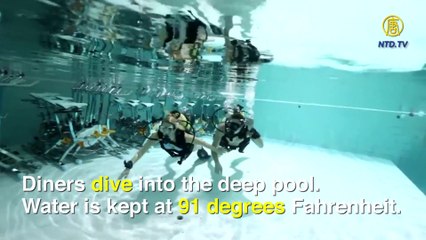 Belgique: Le premier restaurant sous-marin