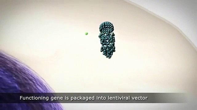 Лечение рака в Израиле. Генная терапия