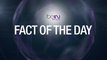 SEPAKBOLA: Premier League: Fakta Hari Ini - Wijnaldum Nyaman Di Pertandingan Kandang
