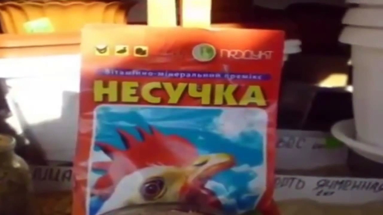 Страна Его 2