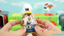 Baby Paw Patrol Pop Up Toys Surprise Chase, Bath Paint, Skye, PJ Masks Surprise Eggs LEARN COLORS