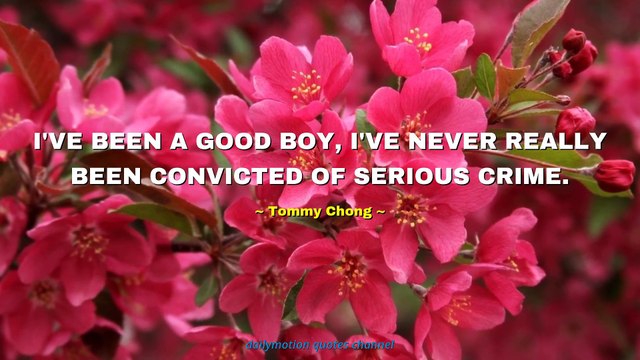 Tommy Chong Quotes #2