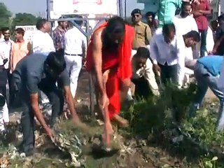 Ramdev Start Narendra Modi's Safai Abhiyaan