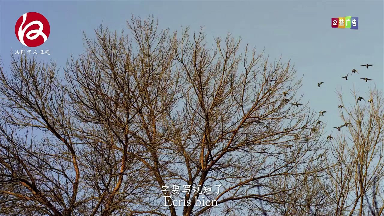 Publicité Institutionnelle 5/7