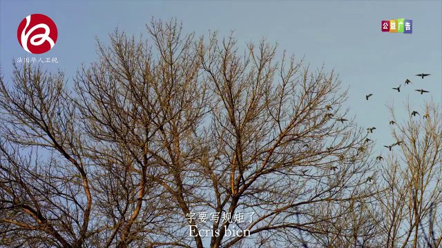 Publicité Institutionnelle 5/7