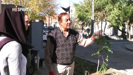 Las Etapas de la Vida - Parte 2