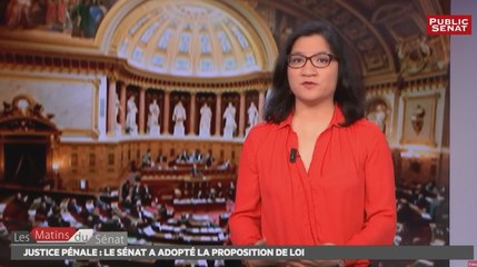 Proposition de loi (LR) efficacité de la justice pénale - Les matins du Sénat (01/02/2017)