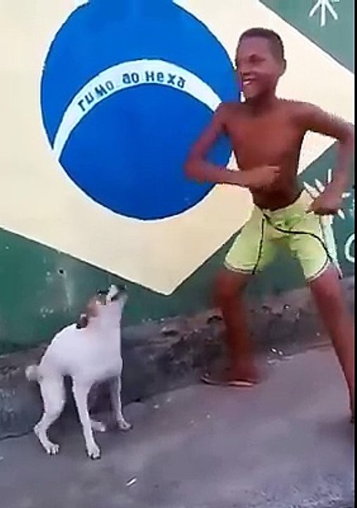 Dog dances with the tune
