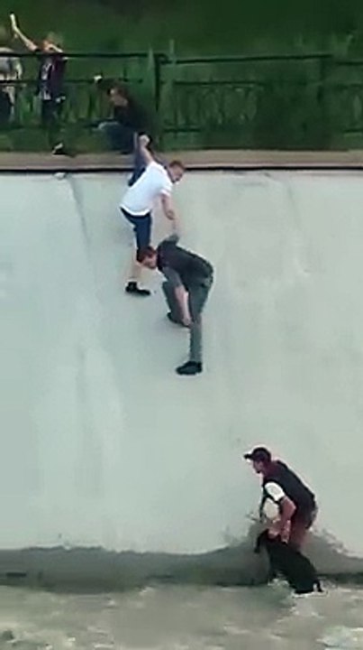 Dog saved by courageous man and a group of people