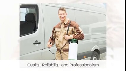 Bed Bug Exterminator Dallas