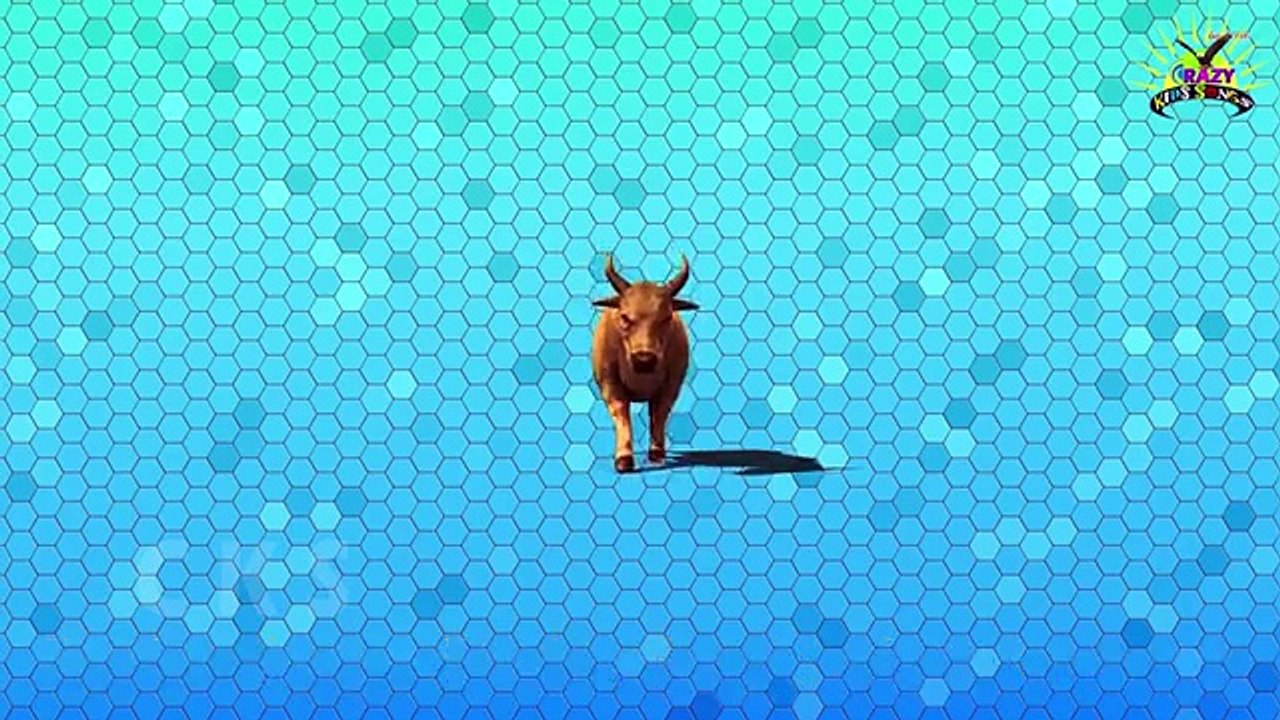 Tiger Finger Family | Lion Cheetah 3D Animated Finger Family Rhymes For Babies | Animals Cartoons