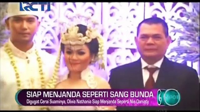 Putri Nia Daniaty Digugat Cerai, Ini Komentar Farhat Abbas