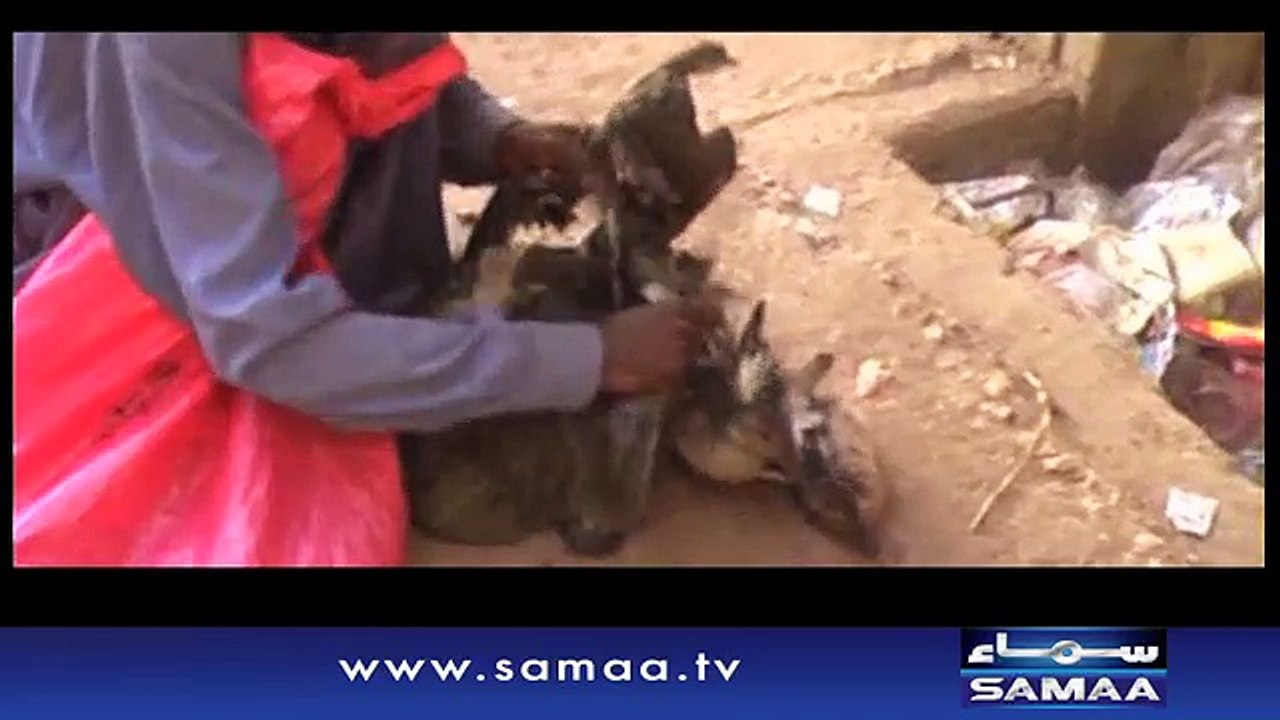Khufia Operation | SAMAA TV |01 Feb 2017