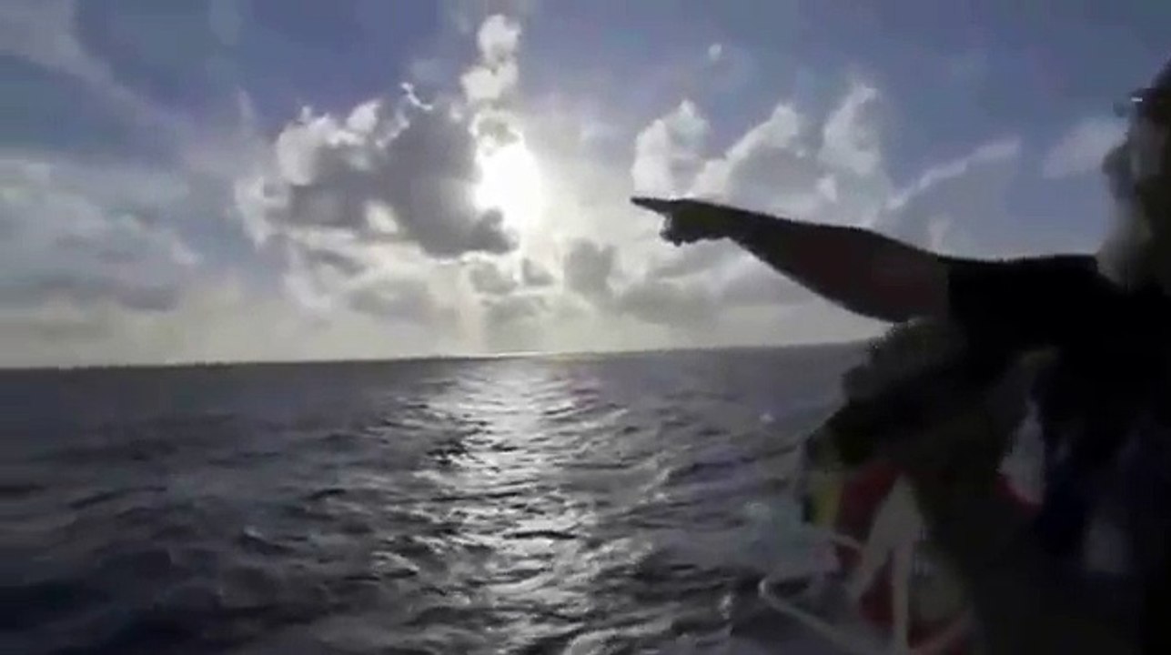 UFO Caught Real Alien