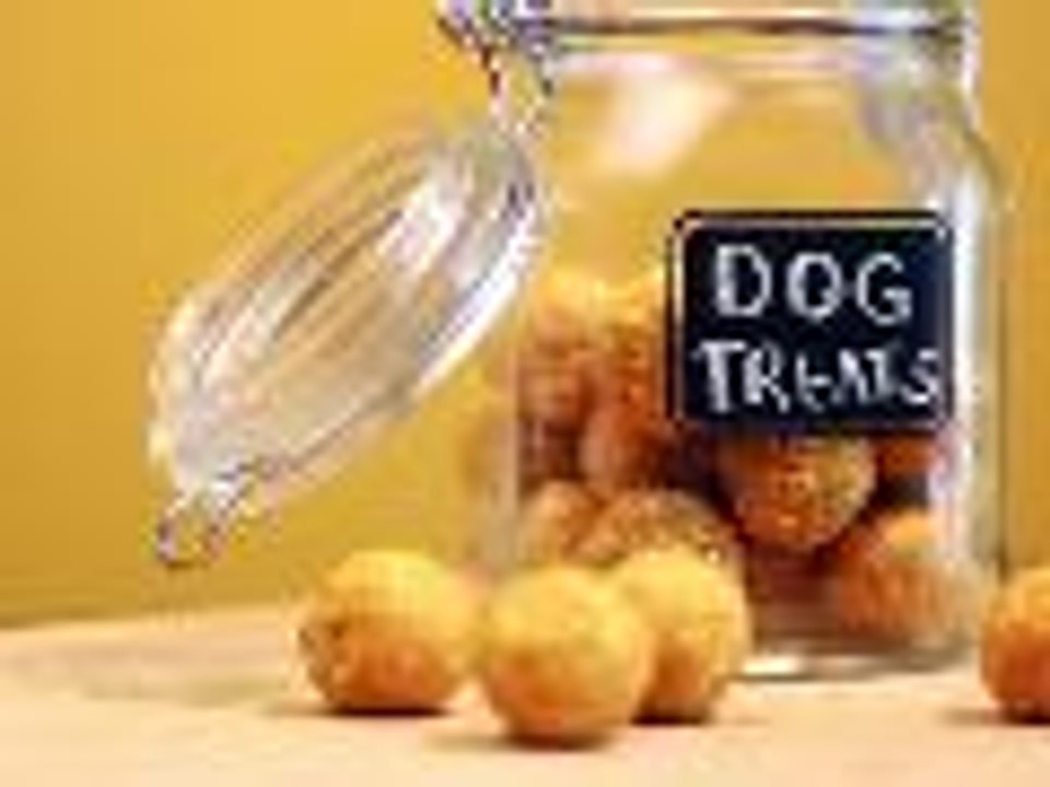 Whip Up Peanut Butter Pumpkin Dog Treats