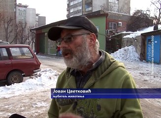 Ljubitelji životinja postavljaju kućice za pse , 1. februar 2017. (RTV Bor)