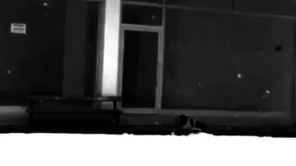 Giresun'da üşüyen köpeğin üzerini montuyla örten belediye işçisi