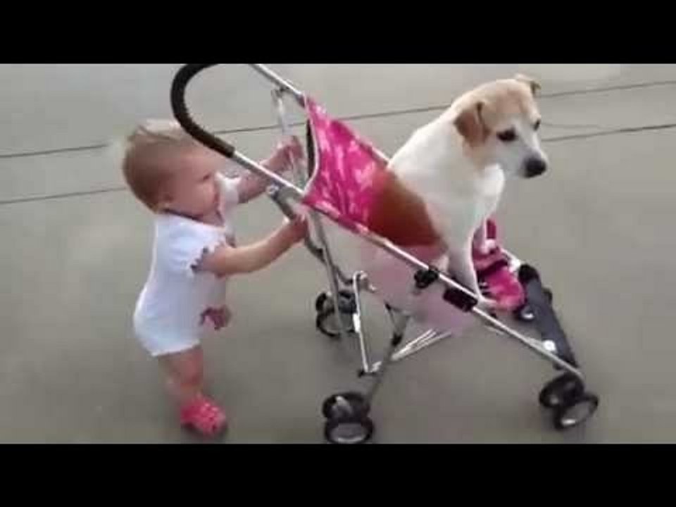 Babies and dogs take each other for a walk - Funny and cute compilation - Best funny 2017