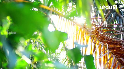 Beti To Main Bhi Hun Episode 18 Urdu1