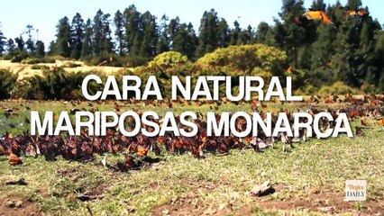 Las distintas caras de México