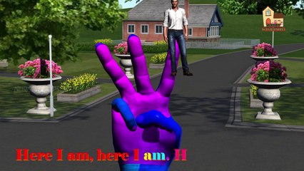 3d Finger Family Nursery Children Rhymes | Man And Animals relation