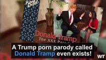 Donald Trump's Inauguration Speech is On PornHub