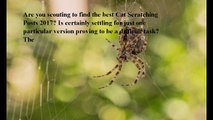 Best Cat Scratching Posts reviews