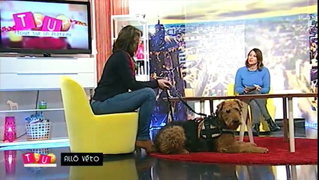 Tout sur un plateau du 01/02/2017 Deuxieme Partie