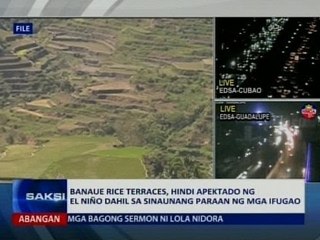 SAKSI: Banaue Rice Terraces, hindi apektado ng el niño dahil sa sinaunang paraan ng mga Ifugao