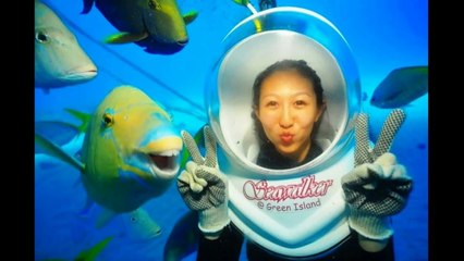 Animal Photobombs That Will Make Your Day Better