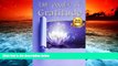 Read Book The Power Of Gratitude Lamees Alhassar  For Ipad