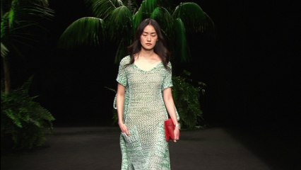 ESCORPION desfilada gener 2017