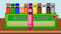 Learn Colors with Pencil Crayons | Kids Children Toddlers Baby Preschool Learning Video